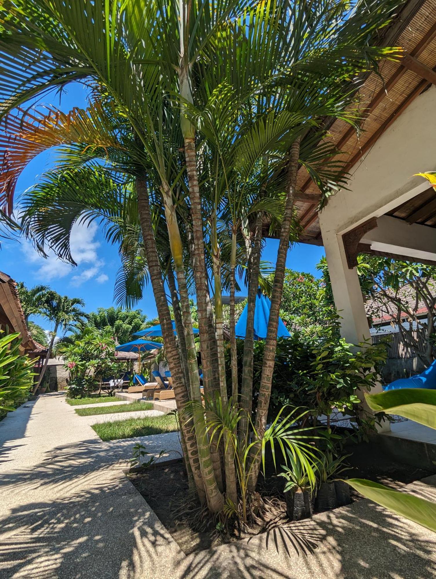 Indigo Bungalows Gili Trawangan Exterior foto