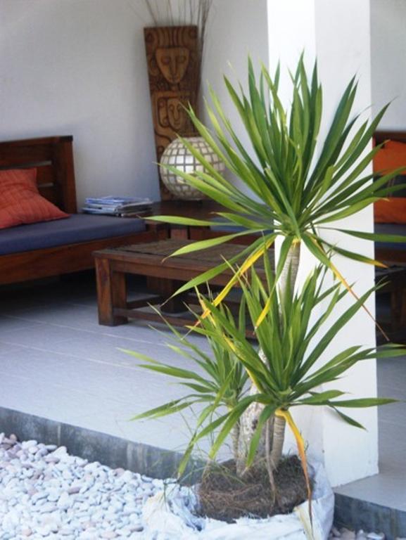 Indigo Bungalows Gili Trawangan Exterior foto